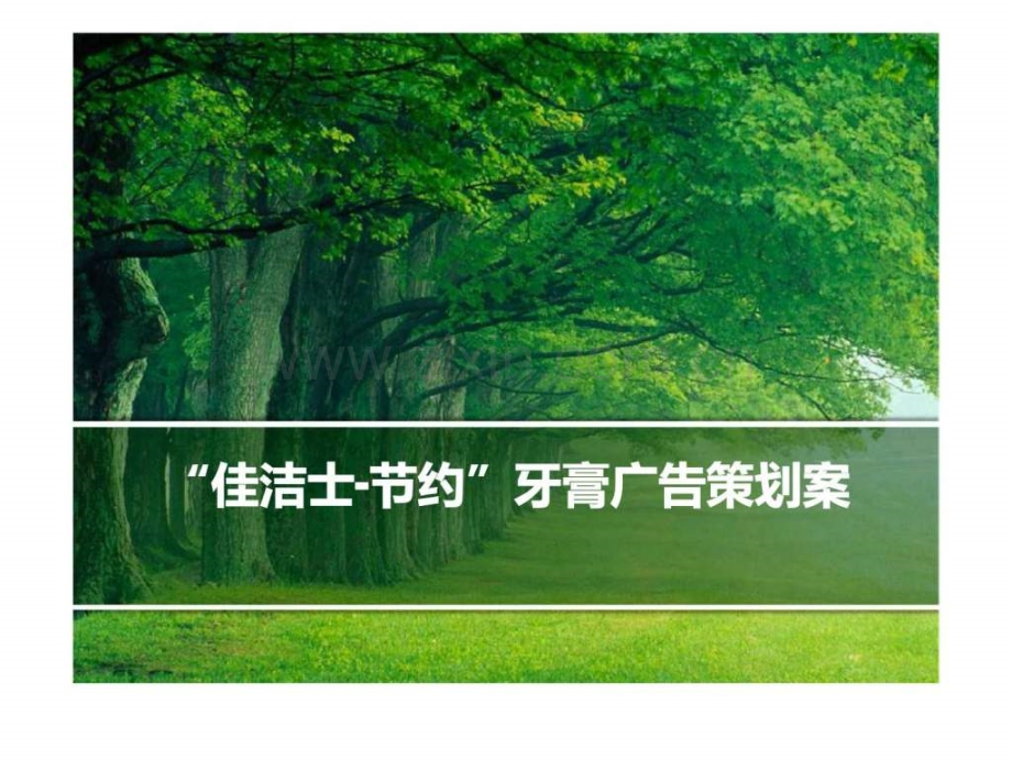 “佳洁士节约”牙膏广告策划案.ppt_第1页