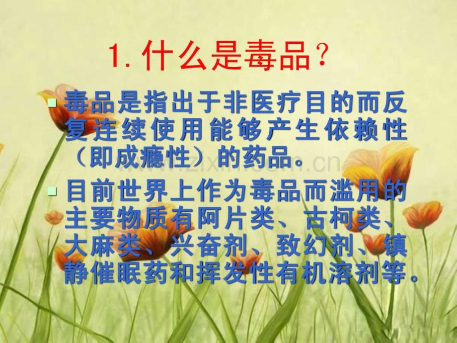 安全与禁毒教育.ppt_第3页