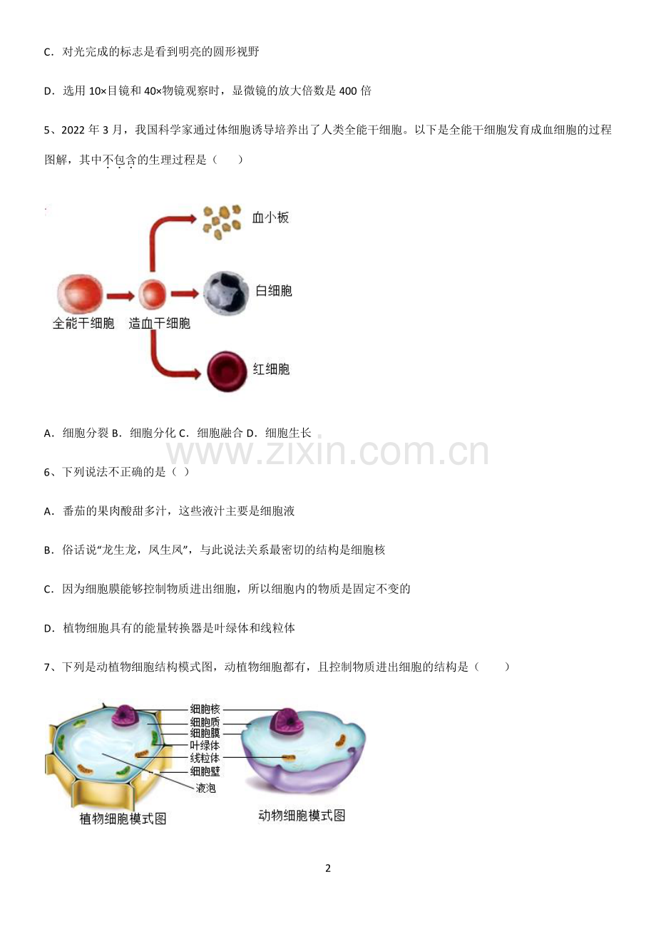 初中生物七年级上册第二单元生物体的结构层次经典大题例题.pdf_第2页