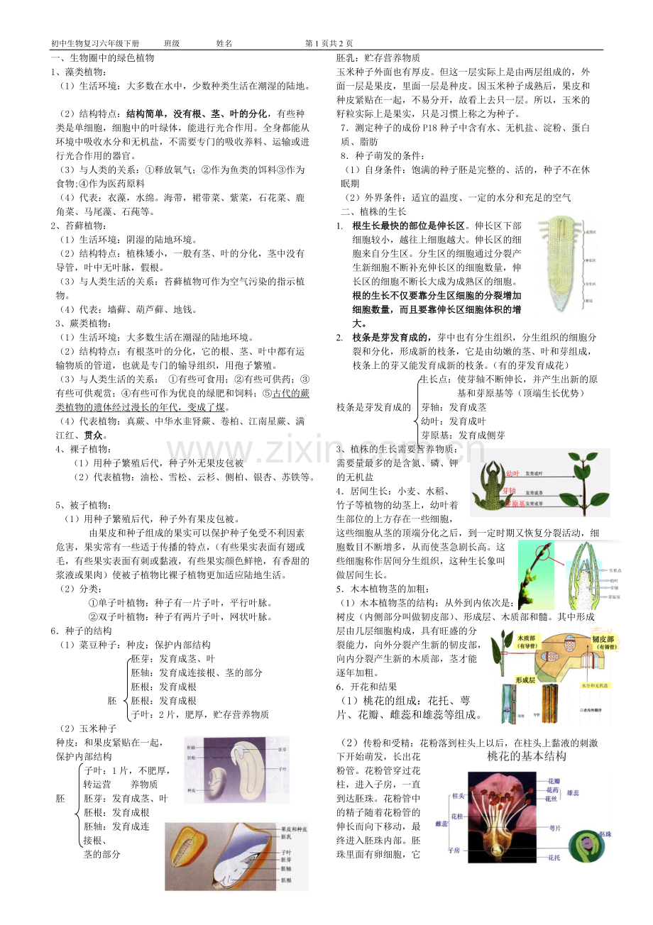 初中生物复习六年级下册知识点总结.pdf_第1页