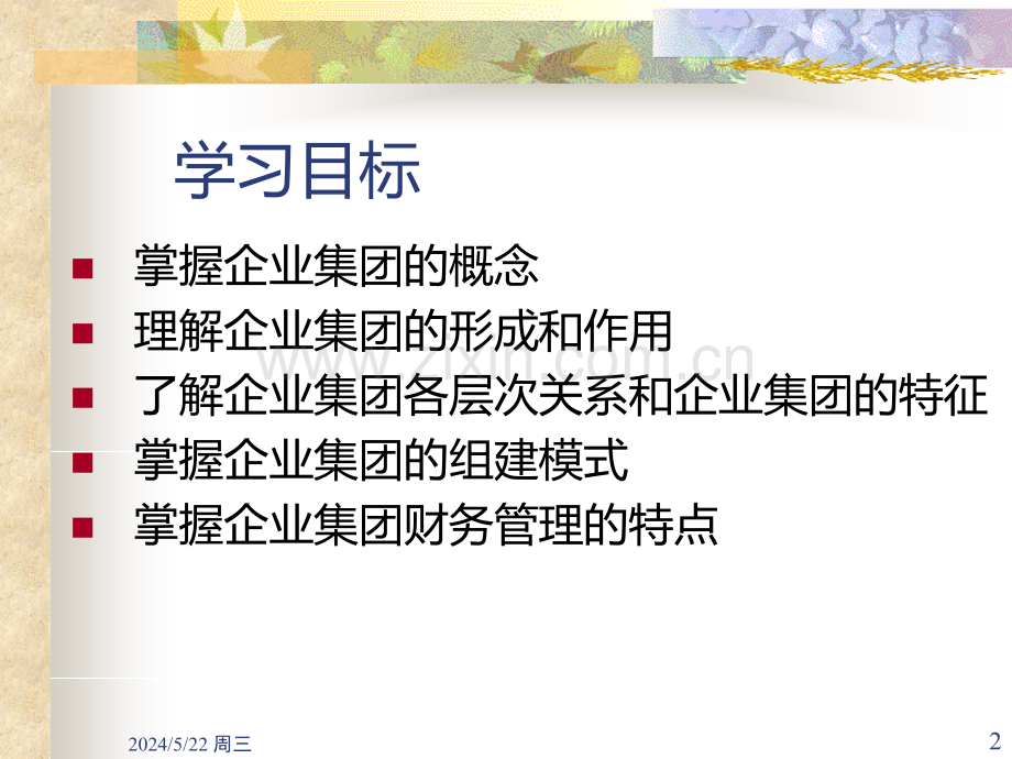 第5章-企业集团财务管理概述.ppt_第2页