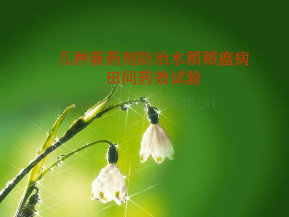 几种新药剂防治水稻稻瘟病药效试验(酚菌酮).ppt_第1页