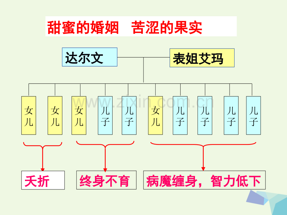 高中生物-第六章-6.2-遗传病的防治教学-北师大版必修2.ppt_第3页