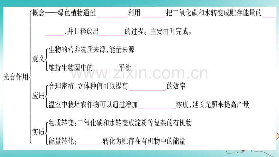 2018秋七年级生物上册-第3单元-第5章-绿色开花植物的生活方式知识归纳习题优质北师大版.ppt_第2页