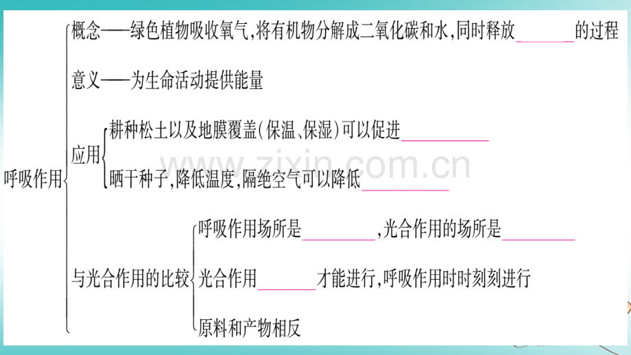 2018秋七年级生物上册-第3单元-第5章-绿色开花植物的生活方式知识归纳习题优质北师大版.ppt_第3页