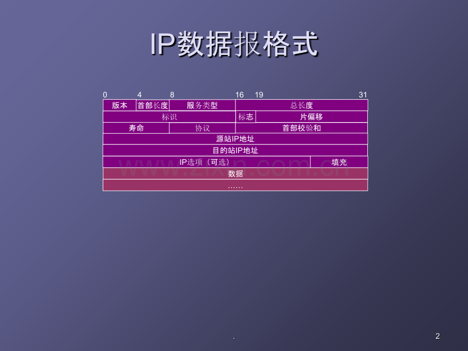 互联网及其应用.ppt_第2页