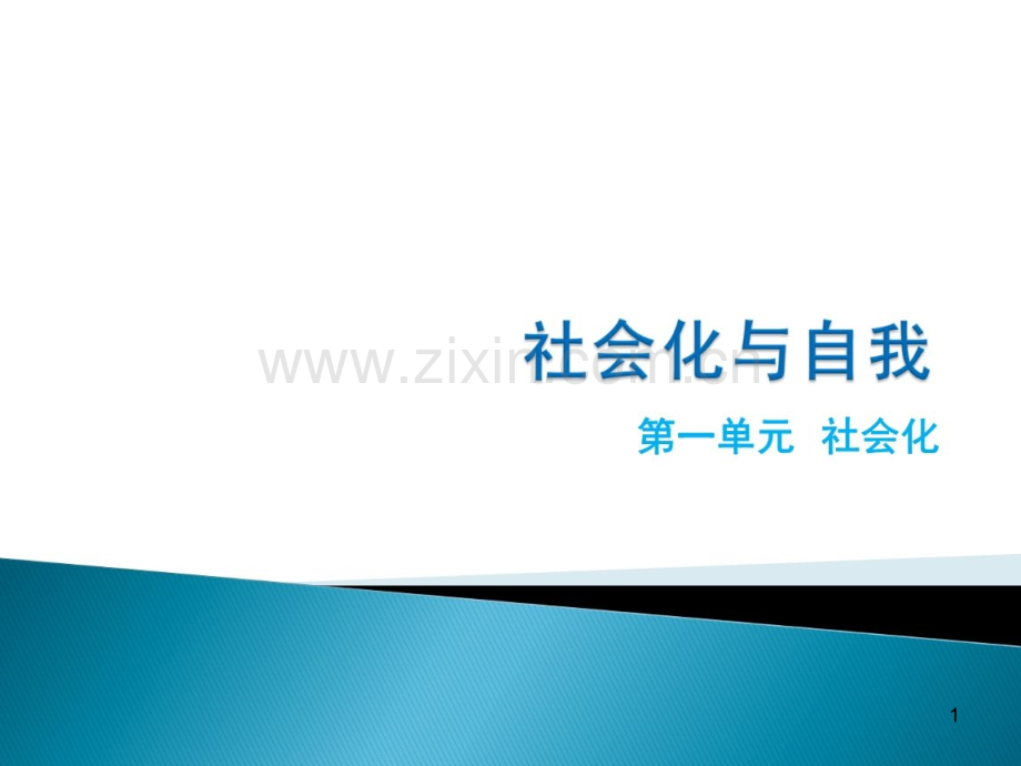 社会心理学从个人视角看社会化.ppt_第1页