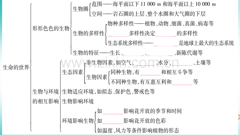 2018秋七年级生物上册-第一单元-认识生命知识归纳习题优质北师大版.ppt_第2页