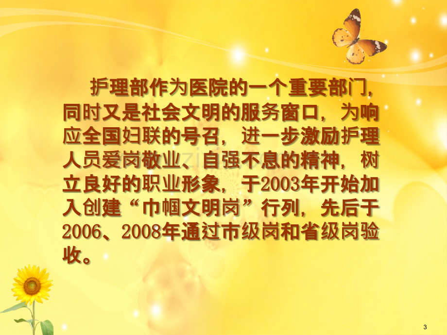 巾帼岗台帐(总)-.ppt_第3页