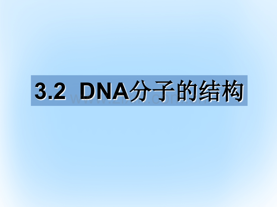 高中生物-第三章-基因的本质-3.2.1-DNA分子的结构教学-新人教版必修2.ppt_第2页