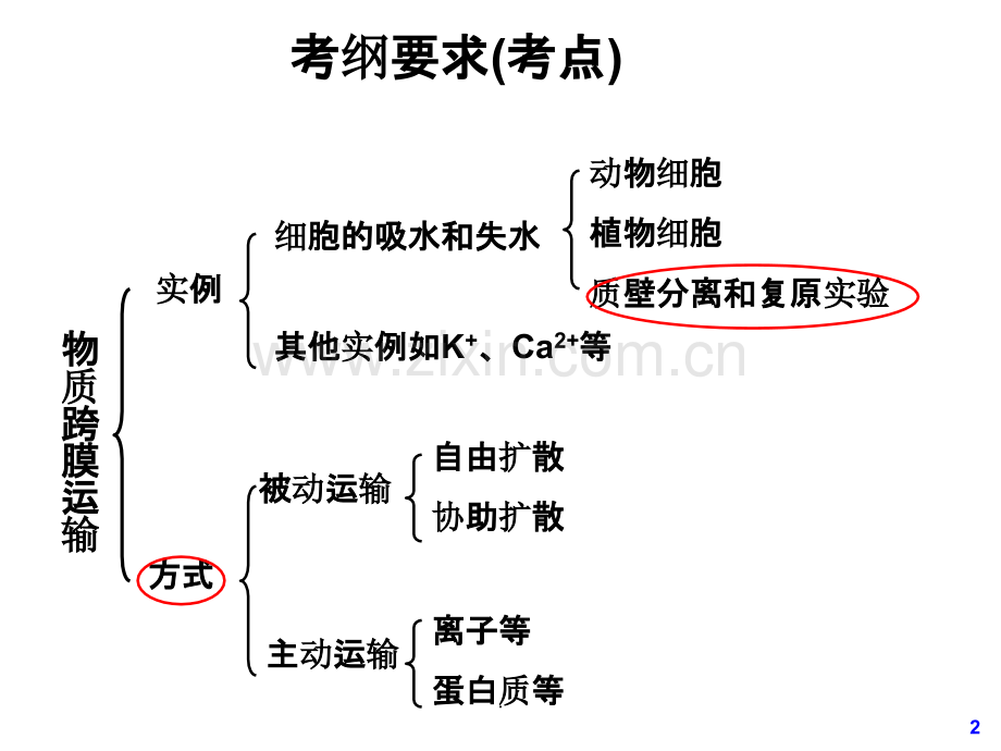 高三一轮复习——物质跨膜运输的实例和方式.ppt_第2页