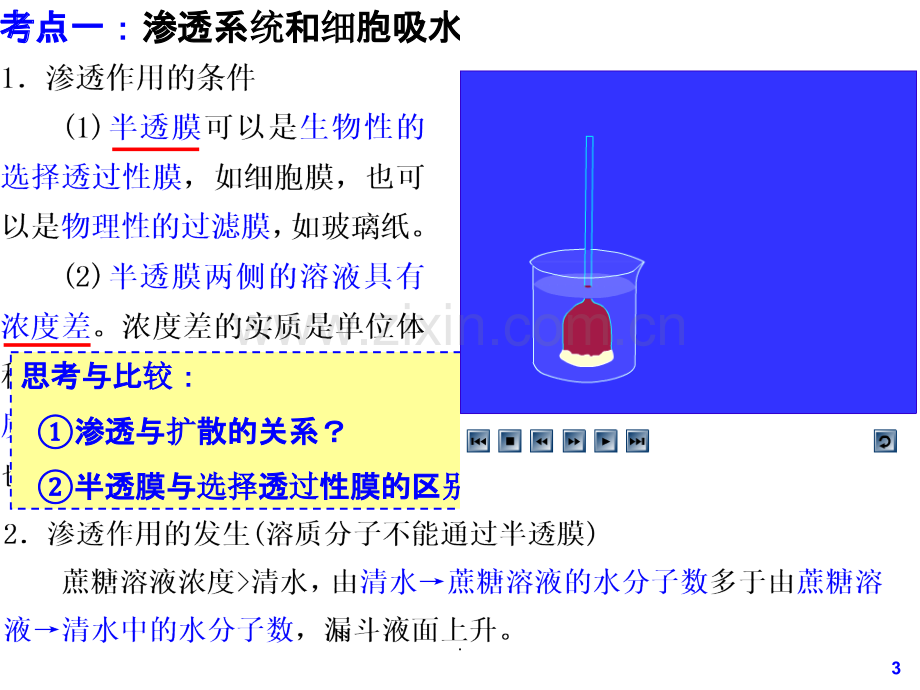 高三一轮复习——物质跨膜运输的实例和方式.ppt_第3页