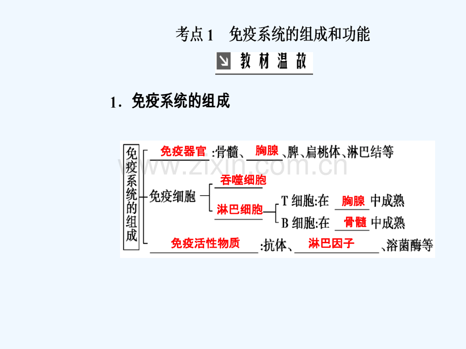 2019版高考生物总复习-第八单元-生命活动的调节-第4讲-免疫调节.ppt_第3页