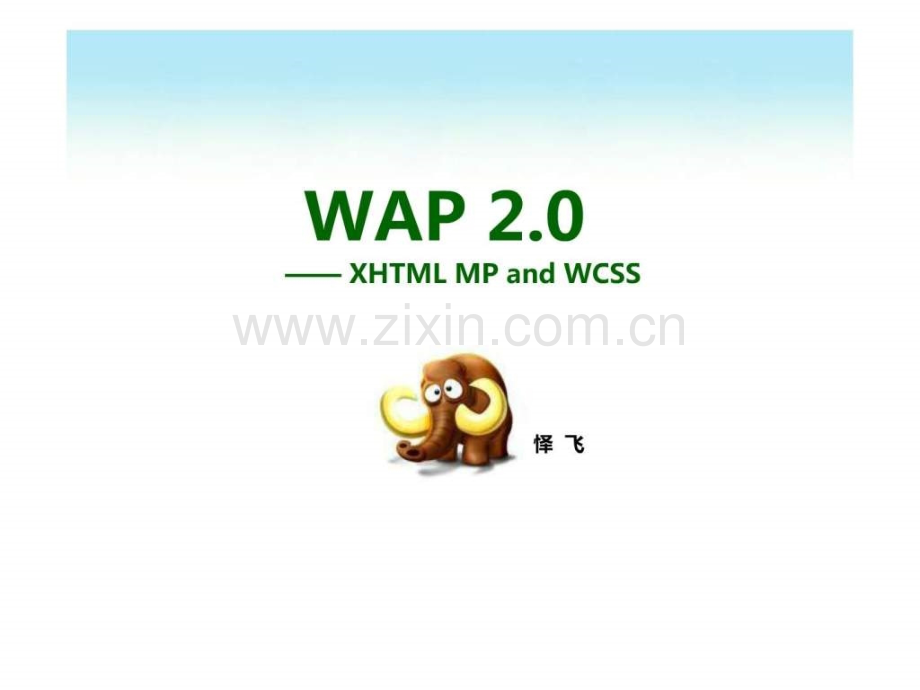 WAP20-无线网络技术.ppt_第2页