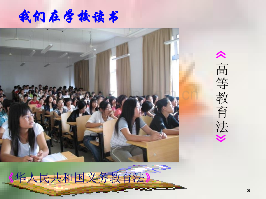 法律伴我们一生.ppt_第3页