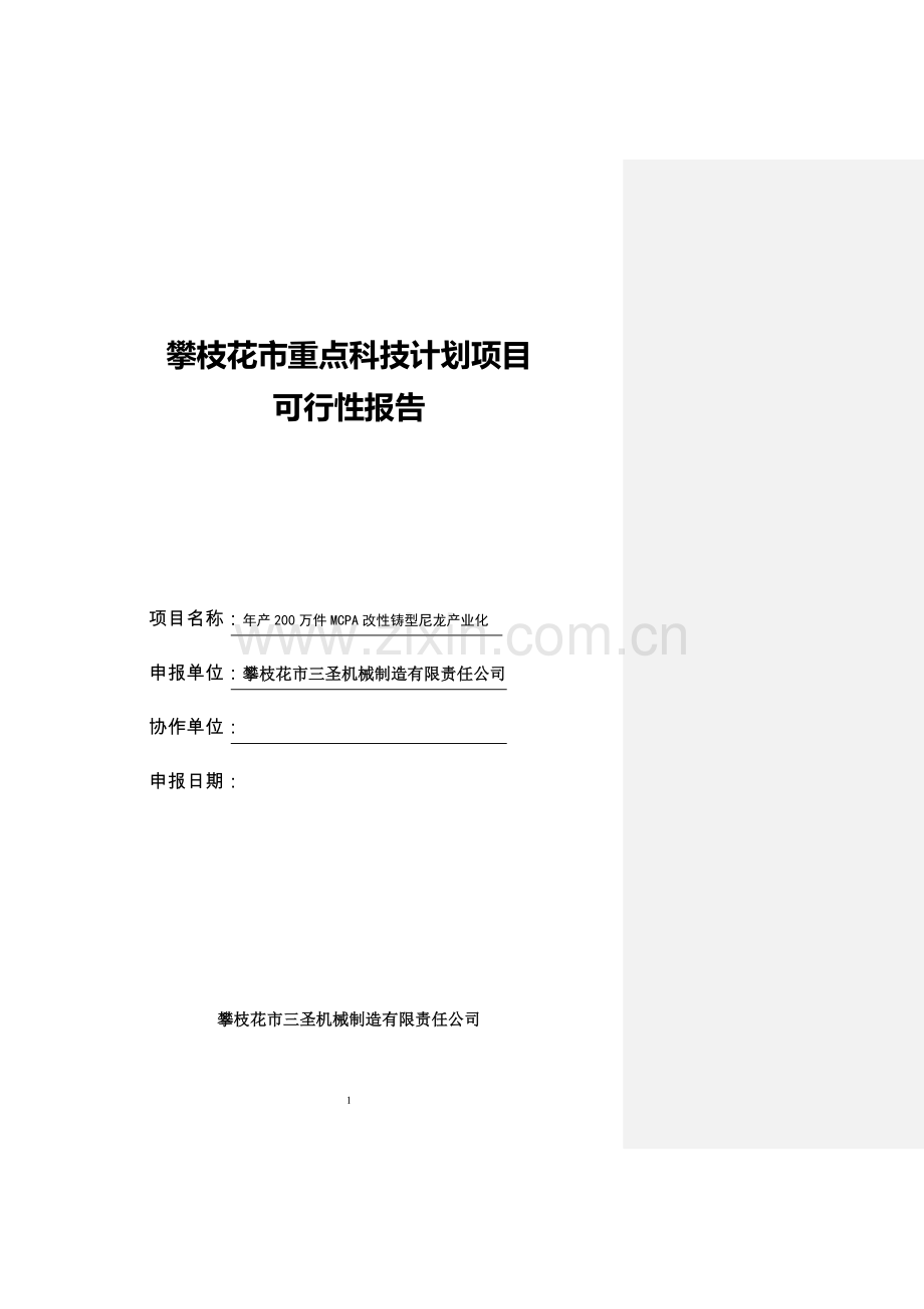 攀枝花市三圣机械制造有限责任公司年产200万件MCPA改性铸型尼龙产业化项目投资可研报告.doc_第1页