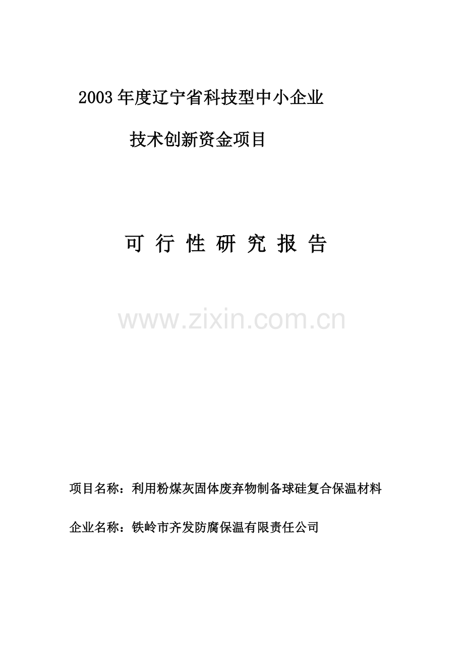 2003年度省科技型中小企业技术创新项目可行性研究报告.doc_第1页