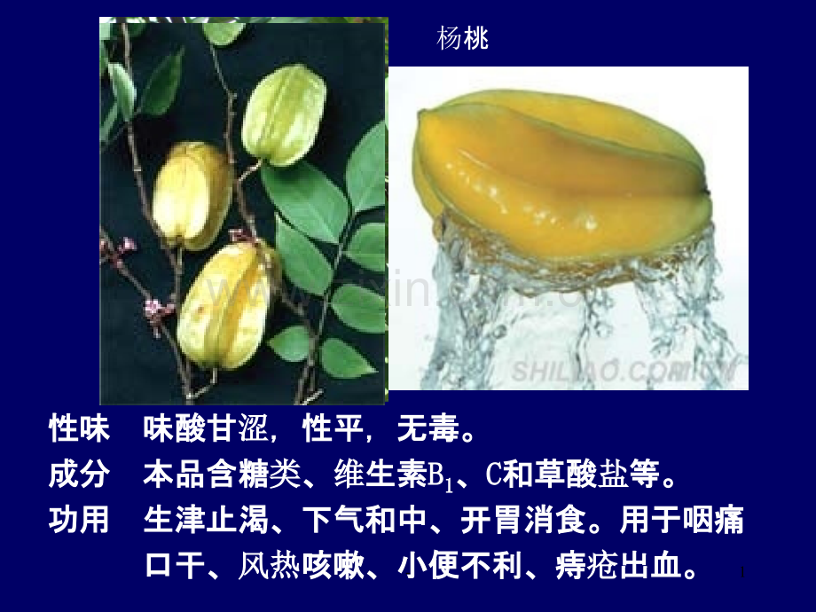 药用植物(果树等).ppt_第1页