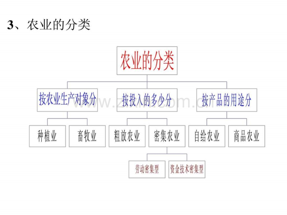 地理之农业.ppt_第3页