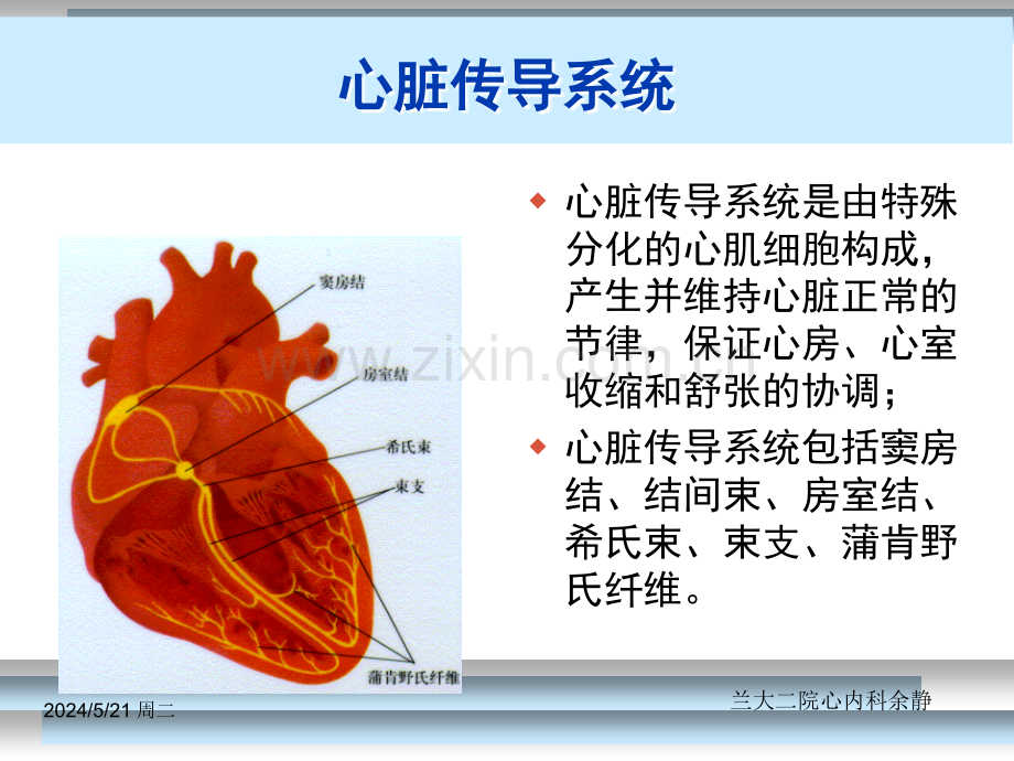 快速心律失常的药物治疗.ppt_第3页