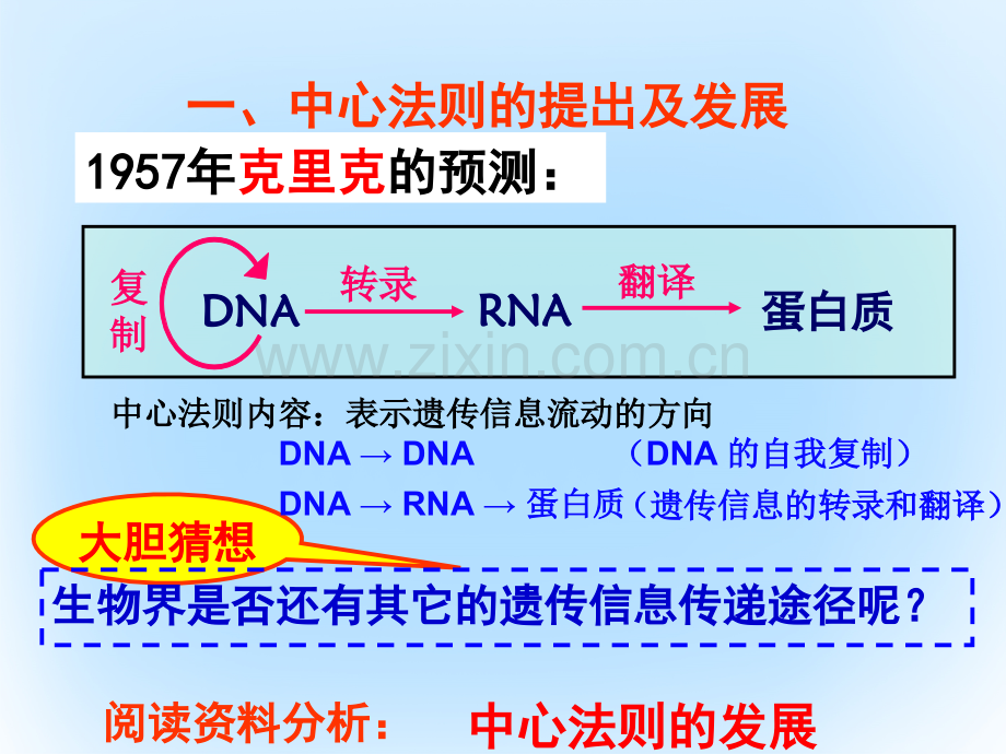 高中生物-第四章基因的表达-4.2-基因对性状的控制-新人教版必修2.ppt_第3页