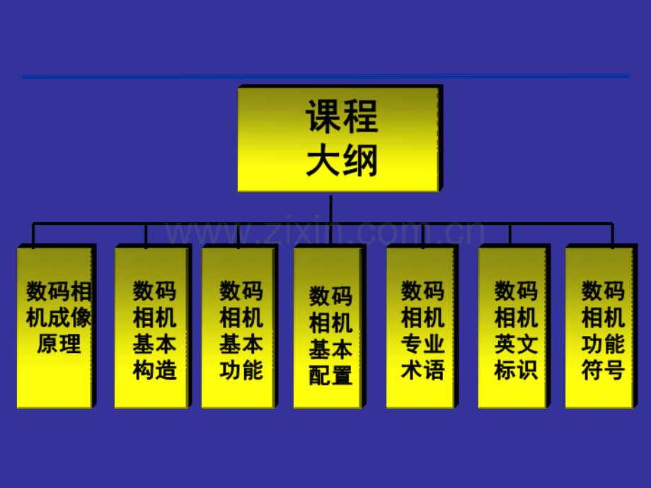 [生物学]数码基础产品知识.ppt_第3页