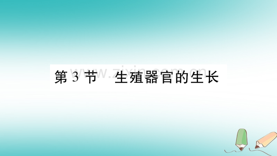 2018秋七年级生物上册-第三单元-第6章-第3节-生殖器官的生长习题优质北师大版.ppt_第1页