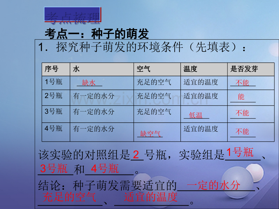 广东省深圳市2017年中考生物总复习-第三单元-第二章-被子植物的一生.ppt_第3页