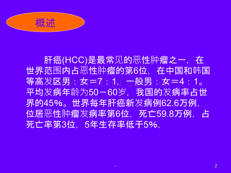 肝癌的诊断与治疗.ppt_第2页