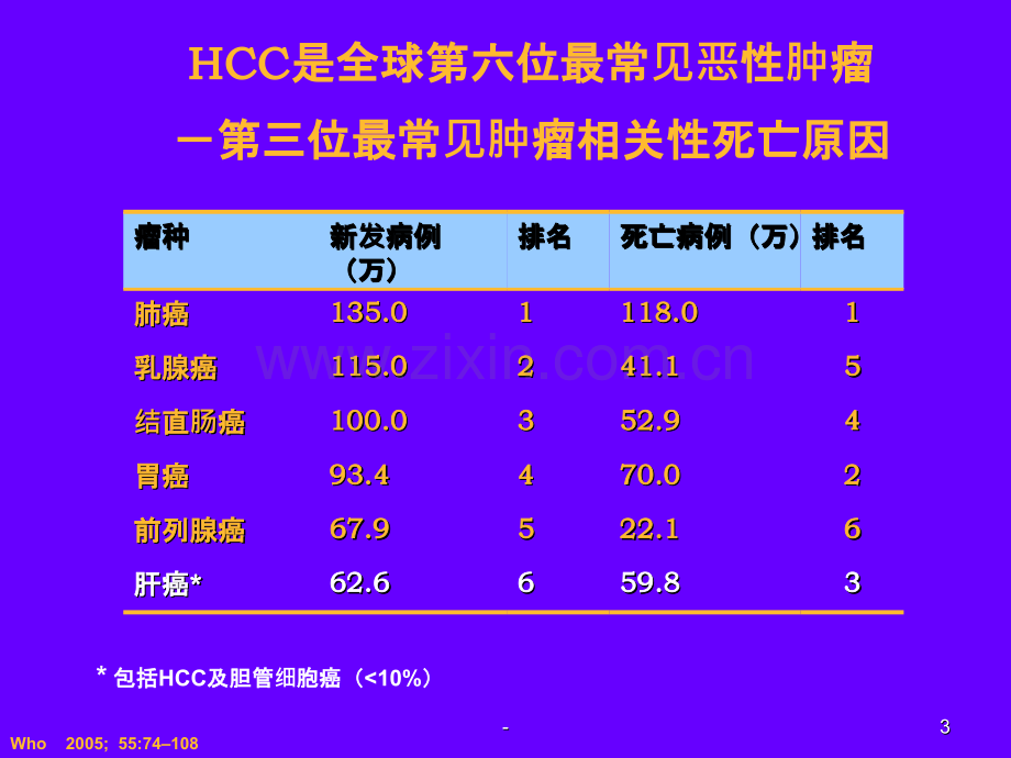 肝癌的诊断与治疗.ppt_第3页