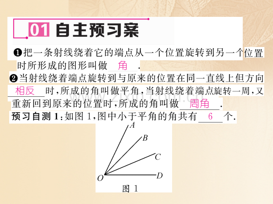 2017年秋七年级数学上册-4.3-角-4.3.1-角与角的大小比较优质湘教版.ppt_第2页