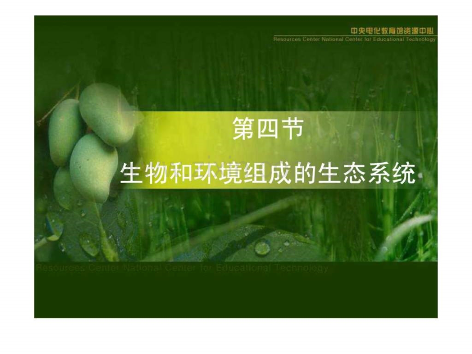 《生物与环境组成生态系统》1(41张)(冀教版八.ppt_第2页