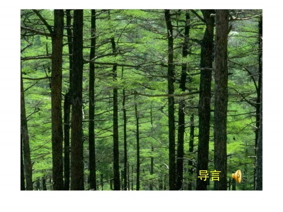 《生物与环境组成生态系统》1(41张)(冀教版八.ppt_第3页