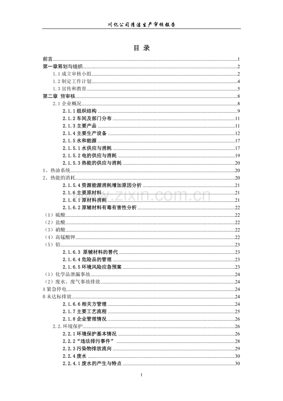 川亿公司线路板生产清洁生产审核报告.doc_第1页