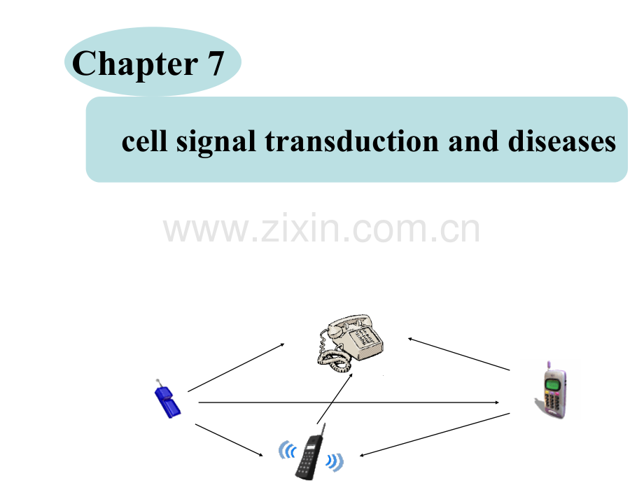 【医学】细胞信号转导与疾病.ppt_第2页