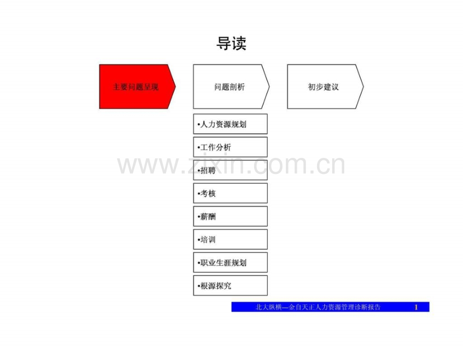 人力资源诊断报告(汇报版)-.ppt_第2页