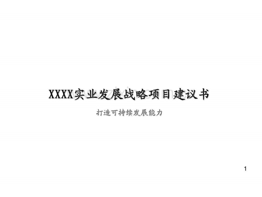 XXXX实业发展战略项目建议书.ppt_第1页