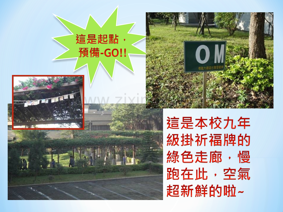 大观爱跑不了.ppt_第3页