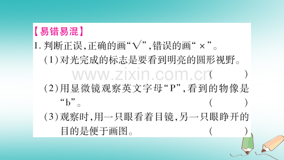 2018秋七年级生物上册-第2单元-生物体的结构层次综合提升习题优质新人教版.ppt_第2页