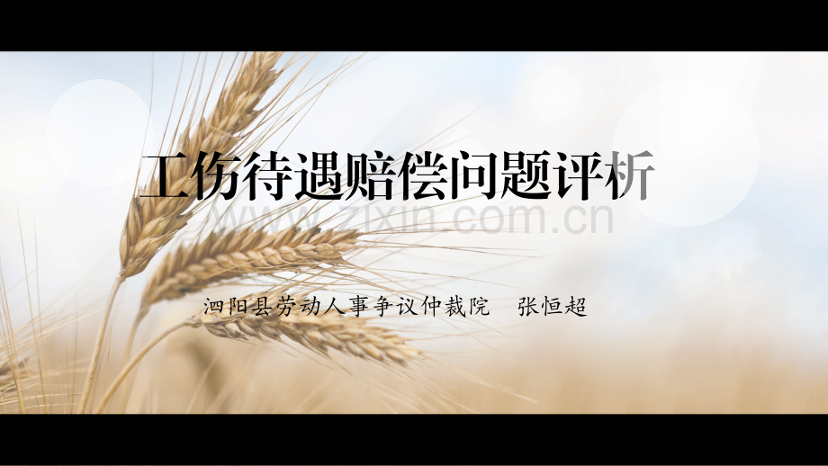 工伤待遇赔偿问题评析.ppt_第1页