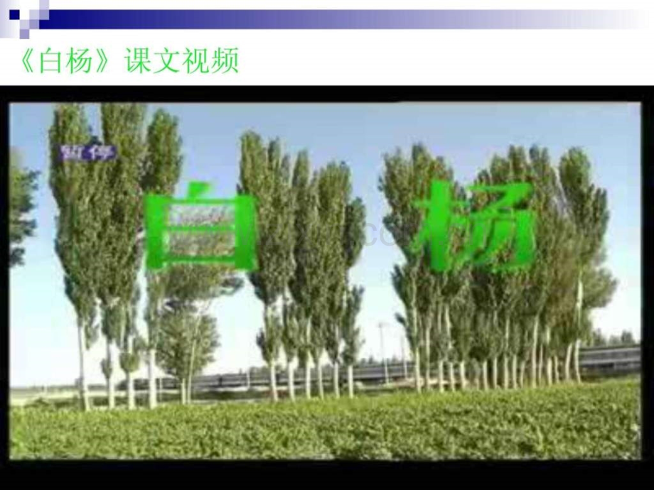 人教版小学五级语文.ppt_第3页