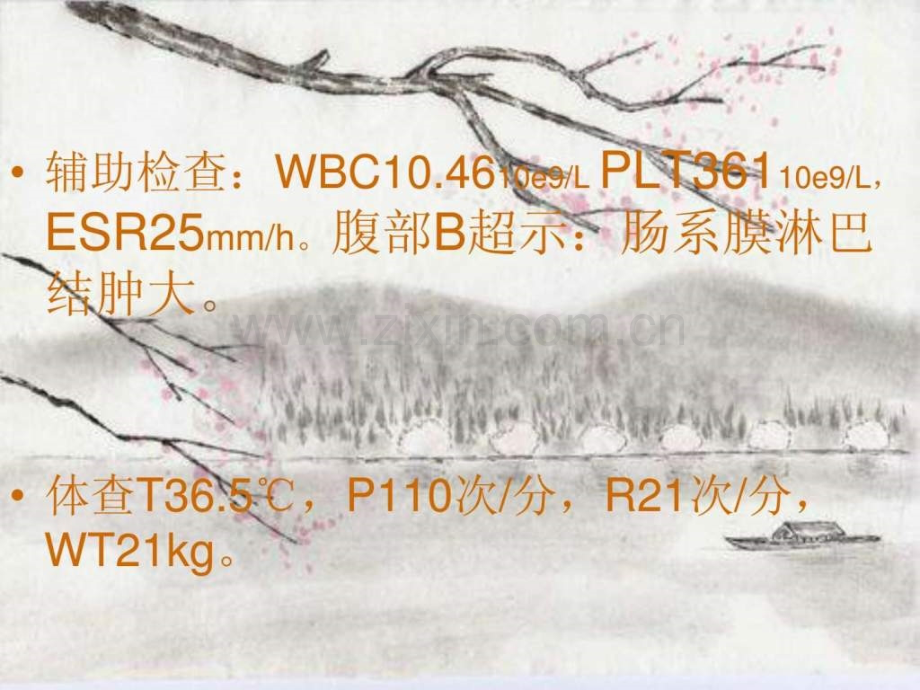 中医过敏性紫癜讲义.ppt_第3页