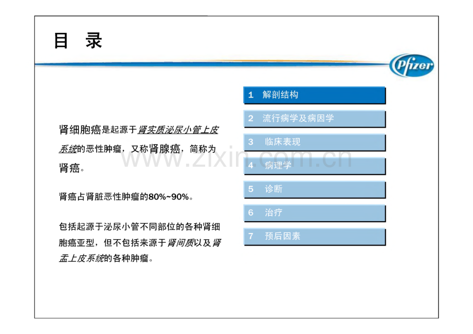 医学课件-肾癌疾病知识、 分期和分型.pdf_第2页