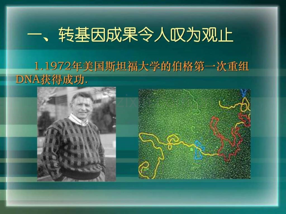 专题4-生物技术安全性和伦理问题.ppt_第2页