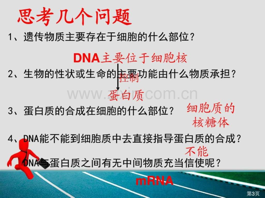 基因指导蛋白质合成课件.ppt_第3页