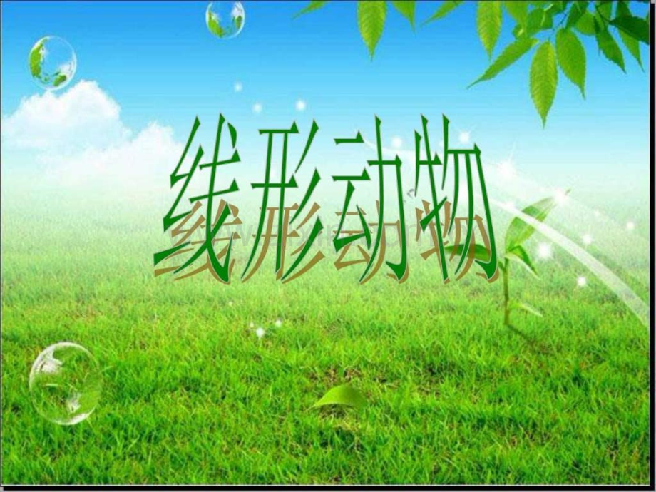 初中生物《线形动物和环节动物》教学.ppt_第2页