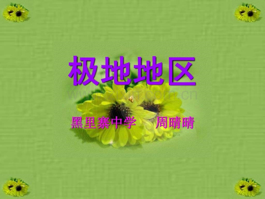 《极地地区》.ppt_第1页