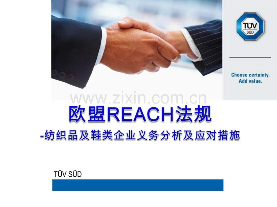 REACH对纺织品及鞋类影响.ppt_第1页