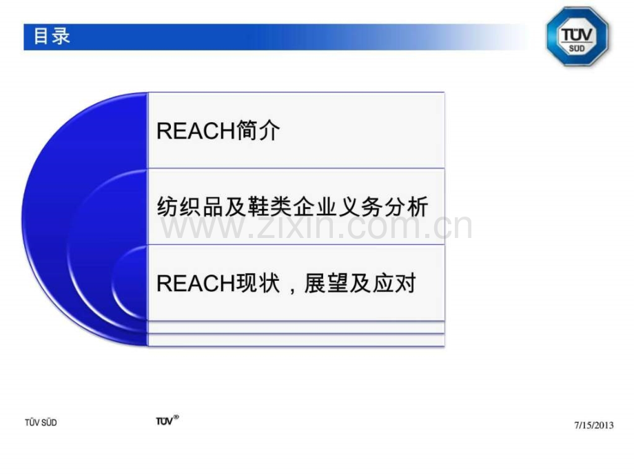 REACH对纺织品及鞋类影响.ppt_第2页