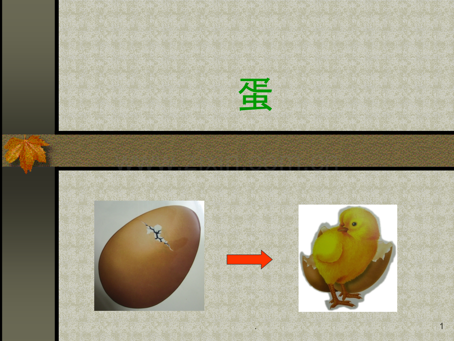 卵生和胎生动物.ppt_第1页